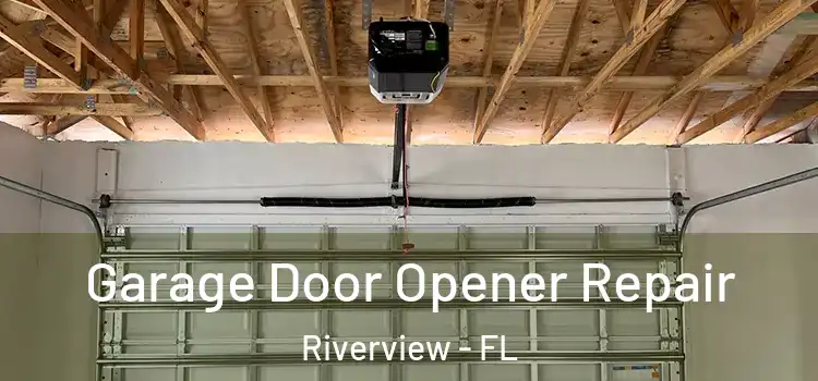  Garage Door Opener Repair Riverview - FL