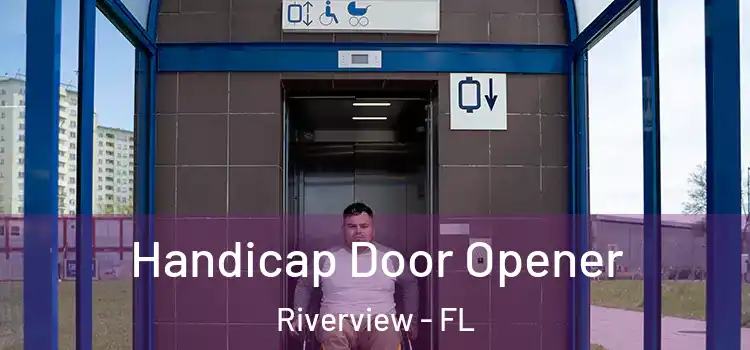  Handicap Door Opener Riverview - FL