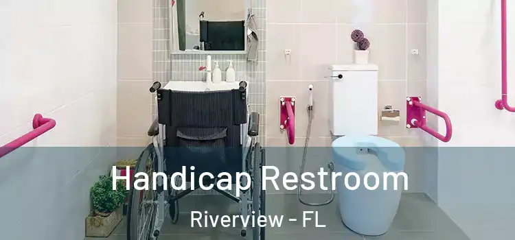 Handicap Restroom Riverview - FL