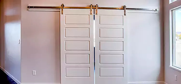 Glass Barn Door with Installation Hardware Kit Riverview
