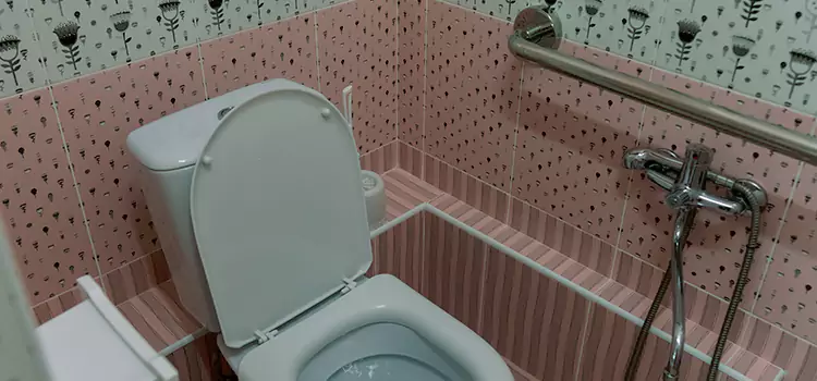 Meeting Diverse Needs With Accessible Restroom Solutions in Riverview, FL