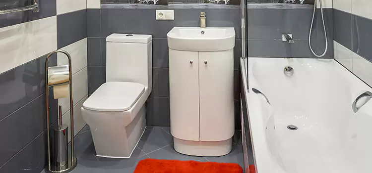 Hansgrohe Shaving Mirror Riverview
